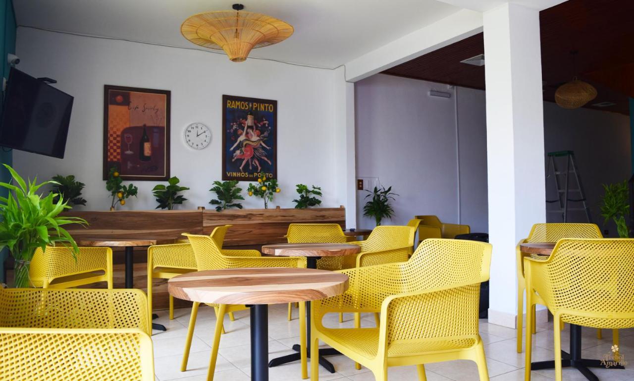 אסקזו Trebol Amarillo Bed & Breakfast מראה חיצוני תמונה