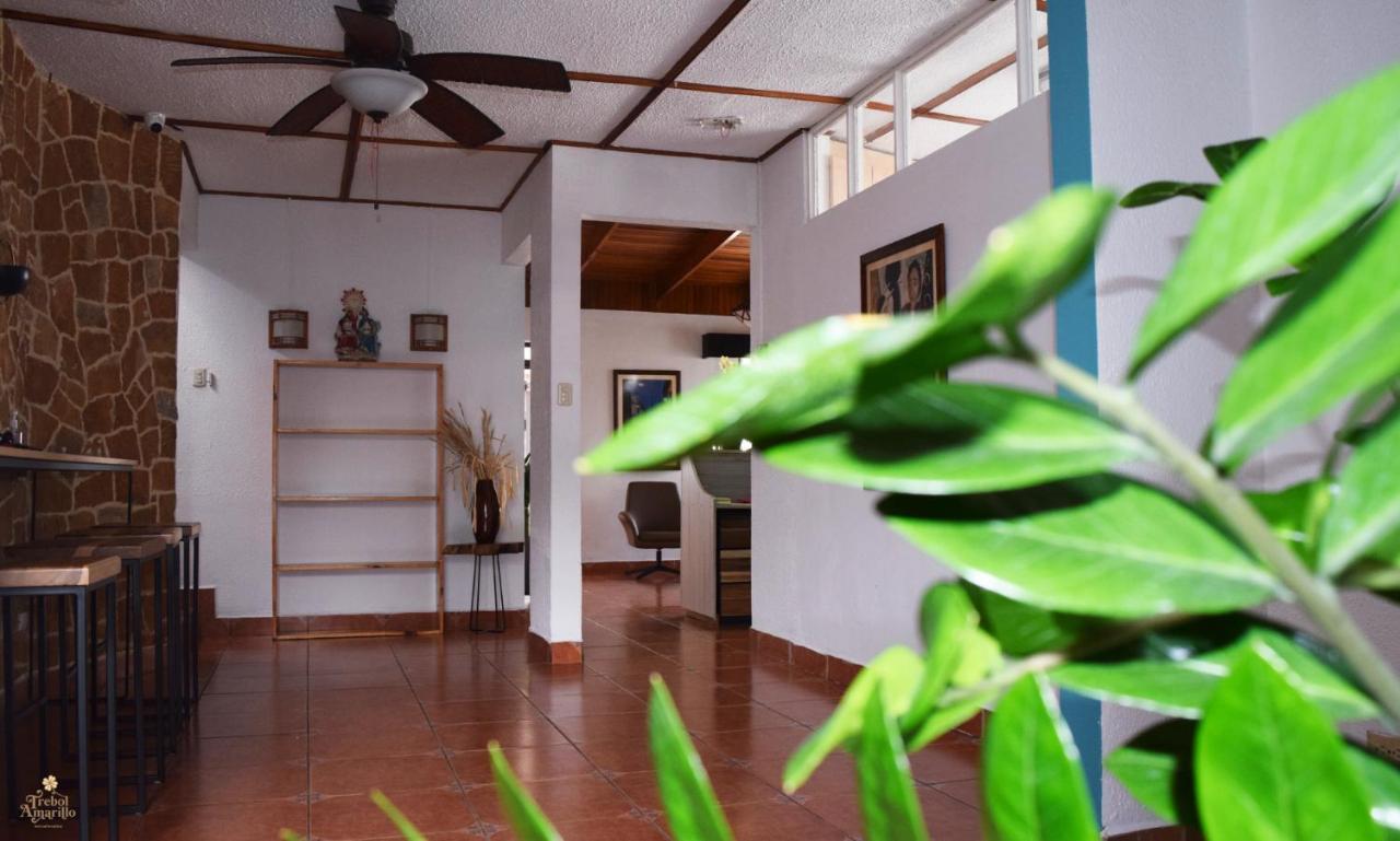 אסקזו Trebol Amarillo Bed & Breakfast מראה חיצוני תמונה