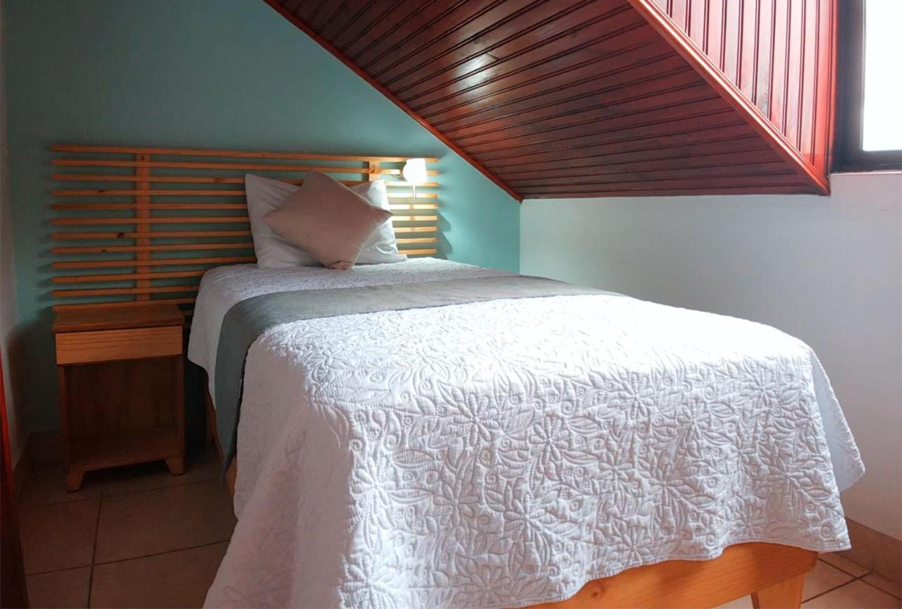 אסקזו Trebol Amarillo Bed & Breakfast מראה חיצוני תמונה