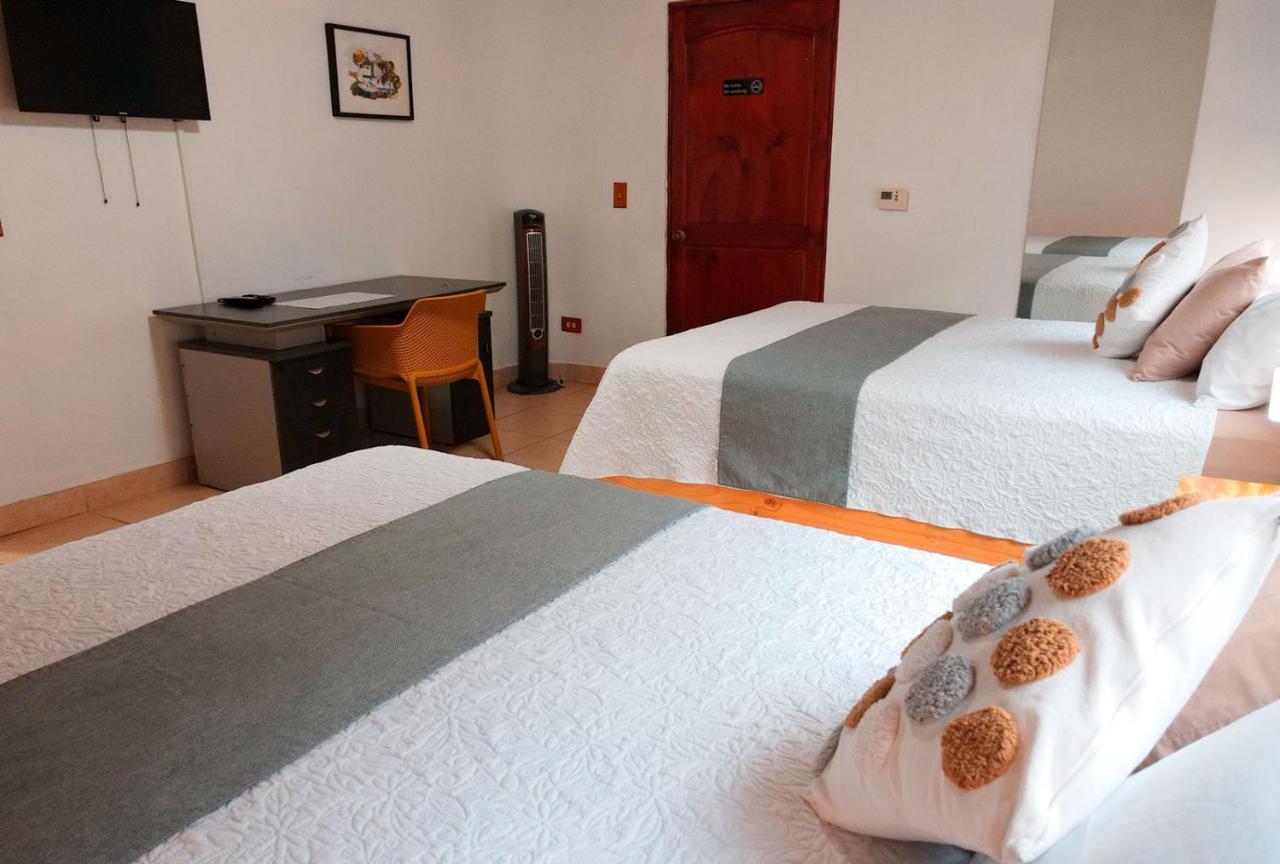 אסקזו Trebol Amarillo Bed & Breakfast מראה חיצוני תמונה