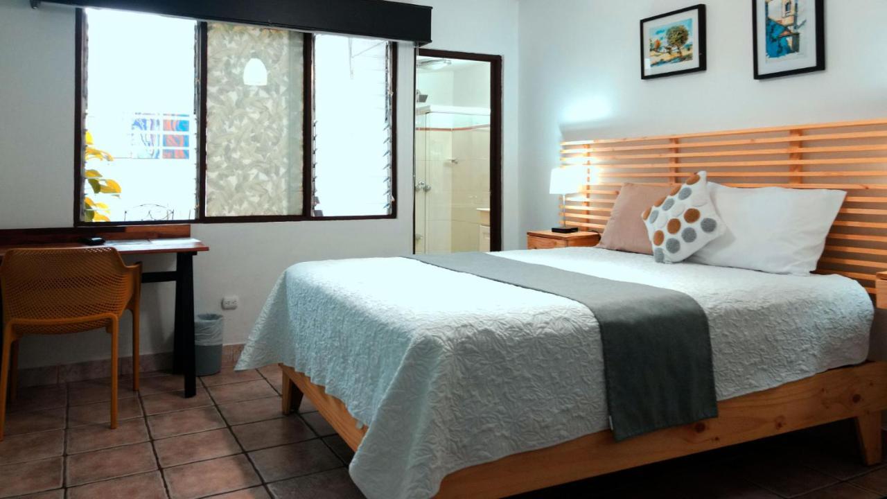 אסקזו Trebol Amarillo Bed & Breakfast מראה חיצוני תמונה