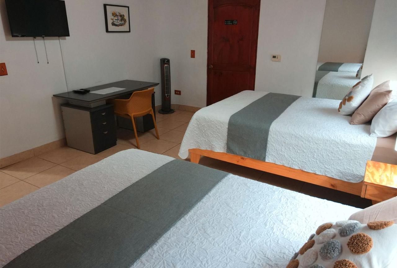 אסקזו Trebol Amarillo Bed & Breakfast מראה חיצוני תמונה