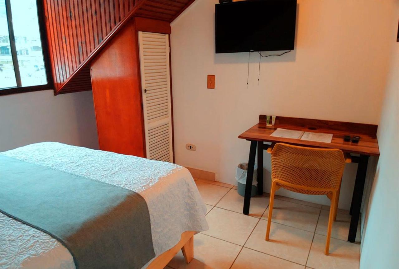 אסקזו Trebol Amarillo Bed & Breakfast מראה חיצוני תמונה
